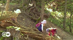 German outdoor preschool among the trees