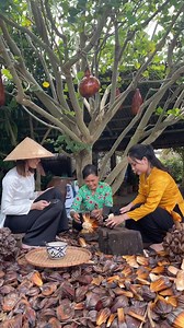 VỀ CỒN CHIM TRÀ VINH CÙNG CHÚNG MÌNH NHA 🌿Cùng ad khám phá Trà Vinh nha, địa điểm tiếp theo là Cồn Chim, nơi quen thuộc nhưng luôn mang đến những trải nghiệm thú vị! ☄️Let's go!!!!! #dulichtravinh #conchim 💥Mời cả nhà xem hướng dẫn chi tiết đường đi đến Cồn Chim và đến đó thì chơi gì dưới đây nhé! https://dulichtravinh.com.vn/cam-nang-du-lich-he-o-con-chim/ 𝐶ℎ𝑢́𝑐 𝑏𝑎̣𝑛 𝑚𝑜̣̂𝑡 𝑐ℎ𝑢𝑦𝑒̂́𝑛 𝑑𝑢 𝑙𝑖̣𝑐ℎ ℎ𝑒̀ 𝑡𝑟𝑜̣𝑛 𝑣𝑒̣𝑛 𝑛ℎ𝑎̂́𝑡 𝑡𝑎̣𝑖 𝐶𝑜̂̀𝑛 𝐶ℎ𝑖𝑚 𝑛ℎ𝑎! 🏡 Địa chỉ: Ấp Cồn 