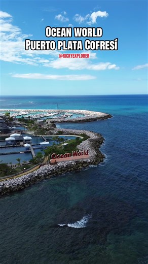 El Ocean World Adventure Park es uno de los parques más completos de la zona, donde puedes vivir experiencias únicas como nadar con delfines, interactuar con leones marinos y observar tiburones de cerca. Más que un simple parque, es una mezcla de aventura, entretenimiento y contacto con la vida marina, ideal para quienes buscan algo diferente durante su visita a Puerto Plata. Además, cuenta con áreas de playa, piscinas y shows que lo convierten en una parada popular tanto para turistas como para