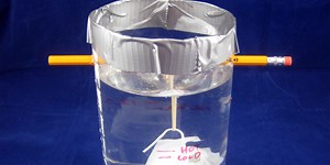 Stretchy Rubber Band Science: Weekly Science Activity | Science Buddies Blog