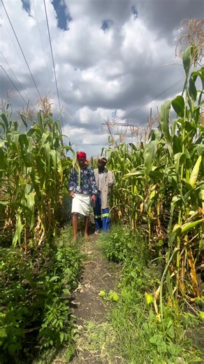 Mira ndikutaurire 🙌🏾 @Presleyzim🇿🇼