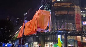 Giant panda appears on spectacular 3D advertising display in China