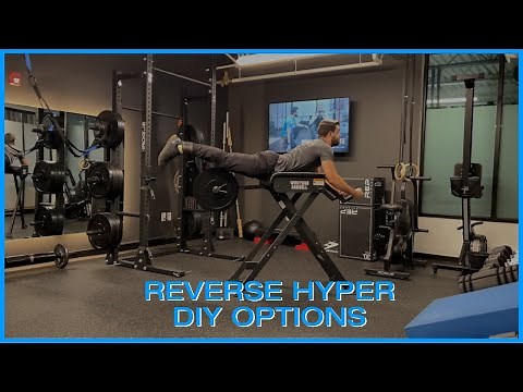The Best Reverse Hyper Variations - DIY Options