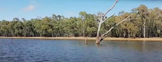 Lake Eppalock Fishing Guide | Melbourne & Victoria