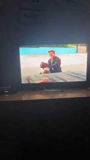 Max Keebles Big Move (2001) Troy bullies Max Keeble scene