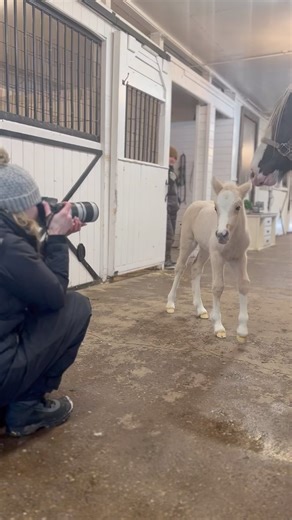 1.1K views · 10K reactions | No matter how cold it is, there is...