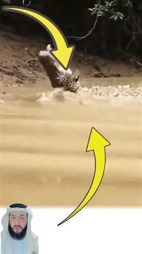 لا تطلب أن تكون الحياة أسهل، بل اطلب أن تكون أنت أقوى #اكسبلور #لايك #ترند #تحفيز