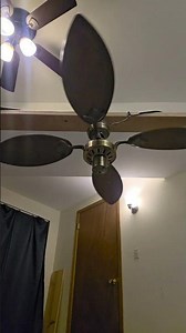 mash-up spinner ceiling fan with palm Craftmade blades