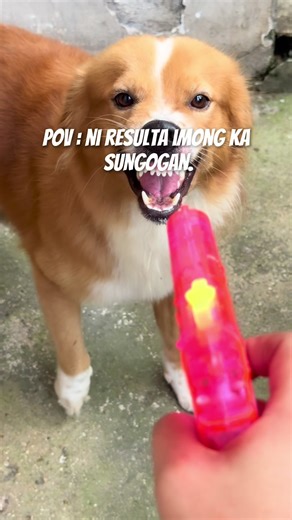 8 injections with in 20mins. Happy New year! 🙂🙂