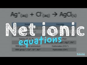 how to write net ionic equations in details