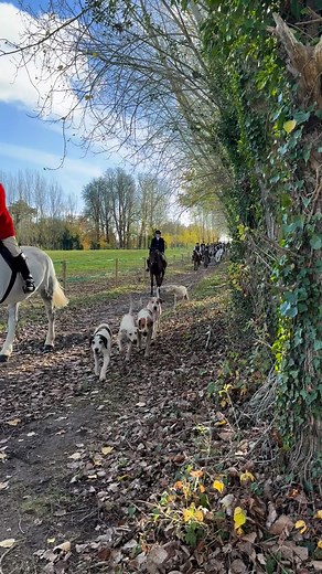 Many smiley, happy faces at today’s Children’s Meet 🐴 A huge thank you to our wonderful hosts😊 #thekenthounds #ekhwws #avth #foxhounds #houndproud #countrylife #countrysports #houndsofinstagram #trailhunting #houndsplease #goldenhour #horserider #dog | The Kent Hounds