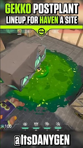 Gekko Post-Plant Molly Lineup for A Default on Haven