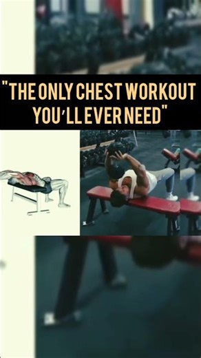 Chest Day: Maximum Hypertrophy Routine