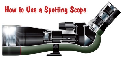How to See Mirage and Bullet Trace with Spotting Scope « Daily Bulletin