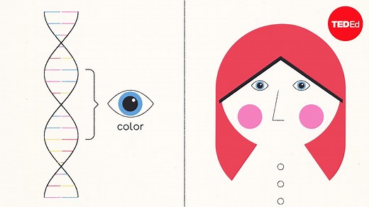 How CRISPR lets you edit DNA