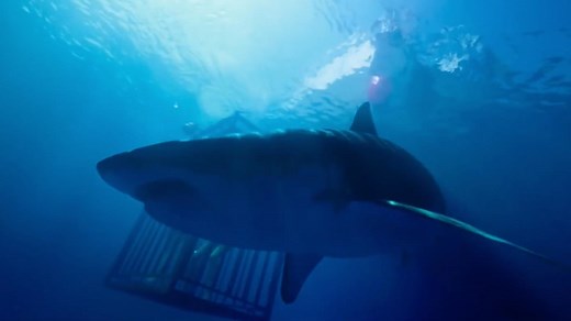 47 Meters Down (2017) - Where to Watch