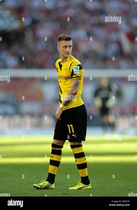 Rheinenergie Stadium Cologne Germany, 18th October 2014, 1st german Football Bundesliga season 2014/2014 matchday 8, 1.FC Kšln (Koeln,Cologne) - Borussia Dortmund (BVB, yellow)  2:1 ---  Marco Reus (BVB) Credit:  kolvenbach/Alamy Live News Stock Photo - Alamy