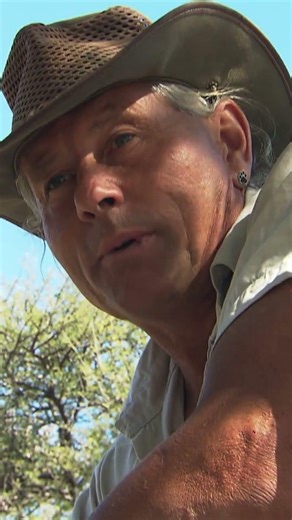 Would You Open This Cage Door? #leopard #predator #wildlife