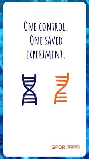 –RT Control in qPCR — RNA or DNA? #geneexpression #phdlife #labtechnician
