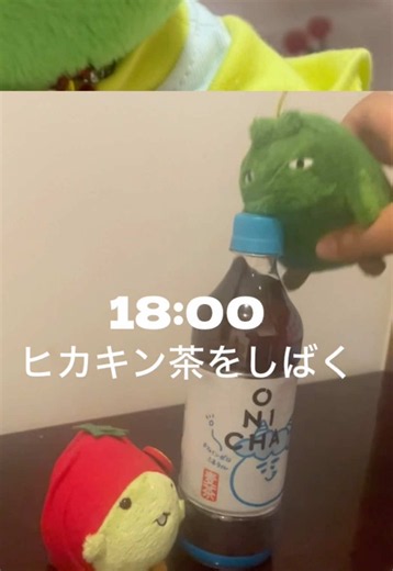 モリゾー&キッコロ参戦‼️ #かえるのピクルス #picklesthefrog #setlog #vlog #モリゾーとキッコロ