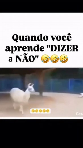 73K views · 111 reactions |  | Terapias Quânticas e Complementares | Facebook