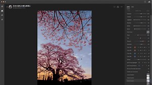 Adobe Creative Cloud: Updates für Photoshop und Lightroom