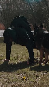 5.3K views · 111 reactions | Best team in the world! #protectiondogsworldwide #teamPDW #bestinthebusiness | Protection Dogs Worldwide | Facebook