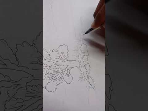 How to create natural drawing.. step by step