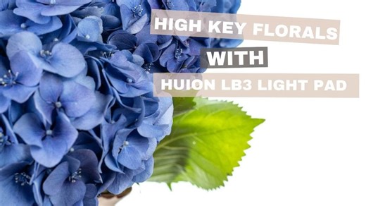 Creating high key florals with Huion Light Pad