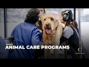 Start Your Animal Care Career at Conestoga | Vet Tech, Vet Assistant & Pet Grooming Programs