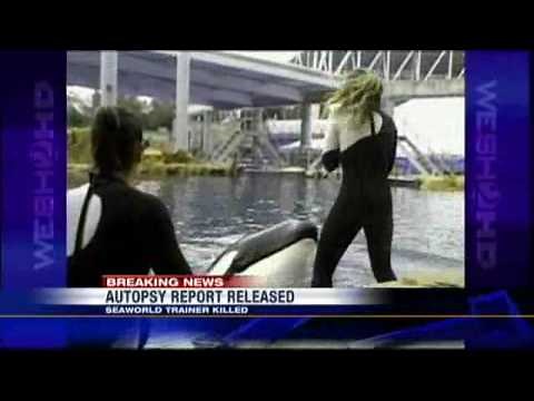 SeaWorld Trainer Autopsy Released