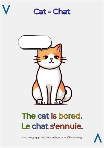 How to Say 'Cat' in English, Spanish, French, and Vietnamese