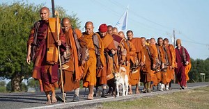 19 Buddhist monks (and a rescue dog) are walking 2,300 miles across the US. This is their message