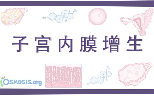 【Osmosis】子宫内膜增生 Endometrial Hyperplasia（中英字幕）