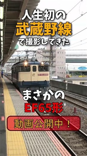 貨物列車の撮影を存分に楽しんできた。武蔵野線撮影記