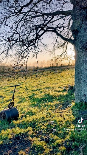 Love at Easter 🐣 🌸 ’I saw you as a flower’, Ellen Everett 🌺 #poem #poetry #easter #love | Jules Knight