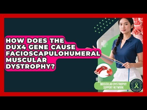 How Does The DUX4 Gene Cause Facioscapulohumeral Muscular Dystrophy?