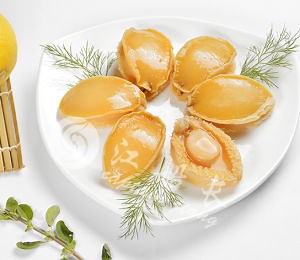 [Hot Item] Competitive Price Fresh Frozen & Canned Abalone for Sale