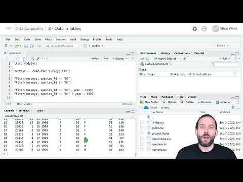 How to Filter Rows in a Data Frame Using the dplyr Filter function