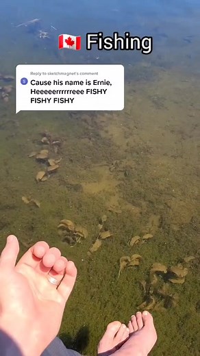 Funny Catfish Encounter in Canada | Ernie's Sesame Street Fishing Adventures