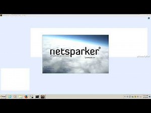 how to Scan a website with netsparker tool