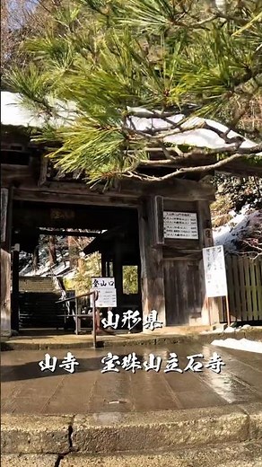 【東北旅行】山寺 山形県観光｜登った瞬間「来てよかった」ってなる景色 #旅行 #文化財 #山形県 #山寺