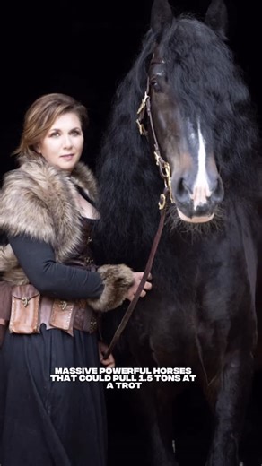 SableBuddy Universe on Instagram: "Only 500 Vladimir Heavy Draft horses left in all of Russia. Breed record - 27 tons from standstill. Last strength trials - 2008. Now just beauty shows. But the horses still remember what they were made for. Special thanks to breed lovers like @martinastaemmler who takes care of 3 horses of this beautiful breed"