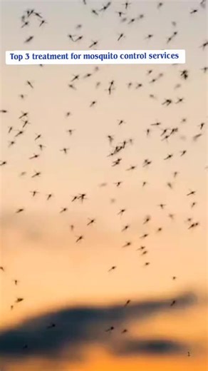 To 3 treatment for mosquito control services special offer just only 25 BHD book your appointment rubeena pestside 📞33251186 36826395 تنظيفات مكافحة الحشرات# #تنظيفات_الرحمة #مدينة_حمد #مدينة_عيسى #عراد #البحرين