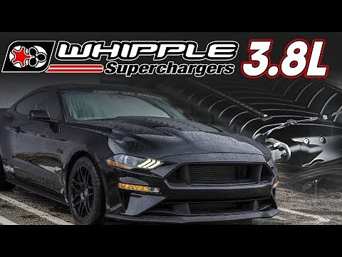 3.8L WHIPPLE SUPERCHARGED Mustang Puts Down 1300hp!! | PLUS Whipple 2020 GT500 News!