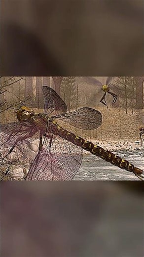 The Giant Dragonfly of Prehistoric Earth – Meganeura 🪰
