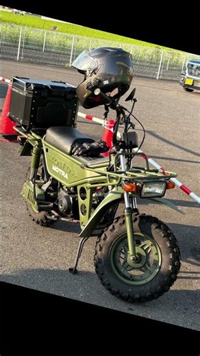 Project Jungler: Photo Gallery /From Japan