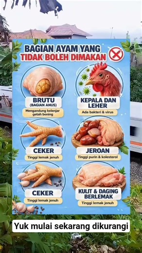 Bagian ayam yang tidak boleh di makan #shortvideo #shorts #ayam #ayampotong