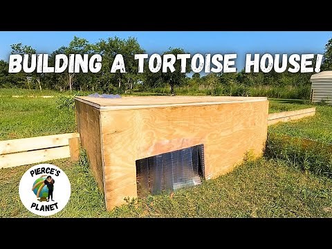 Easy Shelter Build For Sulcata Tortoises! (Pt.2)