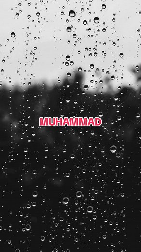 The Tragic Story of Muhammad al-Durrah in Palestine